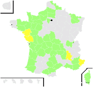 Stellaria neglecta Weihe var. neglecta - carte de répartition