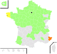 Rumex dubius Gunnerus - carte de répartition