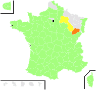 Rumex pulcher L. - carte de répartition