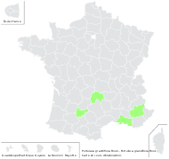 Portulaca grandiflora Hook. - carte de répartition