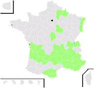 Abrotanum xerophilum Jord. & Fourr. - carte de répartition