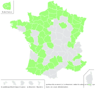 Anagallis platyphylla Baudo - carte de répartition