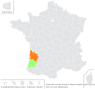 Lysimachia tyrrhenia U.Manns & Anderb. - carte de répartition