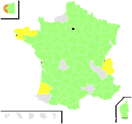 Anagallis foemina Mill. - carte de répartition