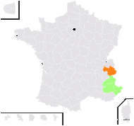 Androsace adfinis Biroli subsp. adfinis - carte de répartition