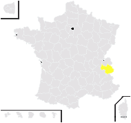 Androsace chamaejasme Wulfen - carte de répartition