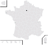 Puccinellia distans subsp. fontana Portal - carte de répartition