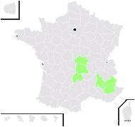 Androsace elongata subsp. breistrofferi (Charpin & Greuter) Molero & P.Monts. - carte de répartition