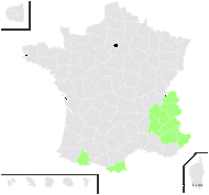 Primula willkommii Derganc - carte de répartition