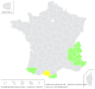 Androsace pubescens DC. - carte de répartition