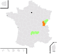 Calamagrostis neglecta (Ehrh.) G.Gaertn., B.Mey. & Scherb. subsp. neglecta - carte de répartition