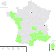 Lysimachia linum-stellatum L. - carte de répartition