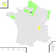 Artemisia biennis Willd. - carte de répartition