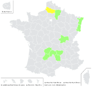Lysimachia thyrsiflora L. - carte de répartition