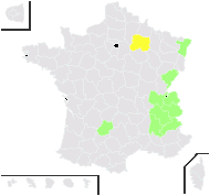 Primula lutea Vill. - carte de répartition