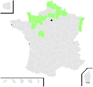 Rubus cardiophyllus Lefèvre & P.J.Müll. - carte de répartition