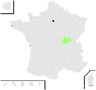 Rubus hebes Boulay & Lucand - carte de répartition