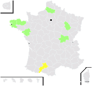 Rubus obvallatus Boulay & Gillot - carte de répartition