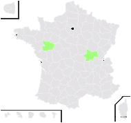 Rubus subopacus (Sudre ex Bouvet) D.E.Allen - carte de répartition