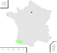 Soldanella montana var. villosa (Darracq ex Labarrère) Grint. - carte de répartition