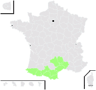 Laserpitium nestleri Soy.-Will. subsp. nestleri - carte de répartition