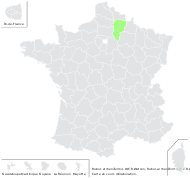 Rubus arrheniiformis W.C.R.Watson - carte de répartition