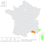 Clematis cirrhosa L. - carte de répartition