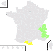 Artemisia genipi var. accedens Rouy - carte de répartition