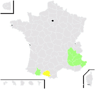 Ranunculus montanus subsp. villarsii (DC.) Bonnier & Layens - carte de répartition