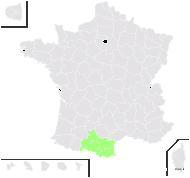 Ranunculus pyrenaeus subsp. alismoides (Bory) O.Bolòs & Font Quer - carte de répartition