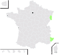 Ranunculus garganicus sensu auct. - carte de répartition