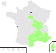 Ranunculus monspeliacus L. - carte de répartition