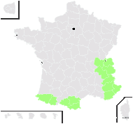 Ranunculastrum gracile Fourr. - carte de répartition