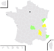 Artemisia pontica L. - carte de répartition