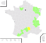 Ranunculastrum radicescens (Jord.) Fourr. - carte de répartition