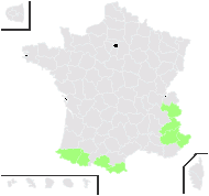 Thalictrum leiophyllum Greene - carte de répartition