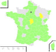 Artemisia verlotiorum Lamotte - carte de répartition