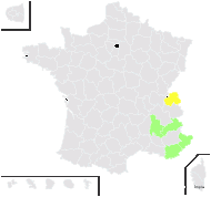 Thalictrum simplex L. subsp. simplex - carte de répartition