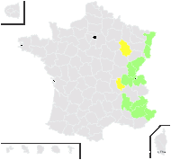 Thalictrum parisiense Jord. - carte de répartition