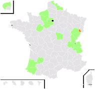 Reseda luteola L. var. luteola - carte de répartition