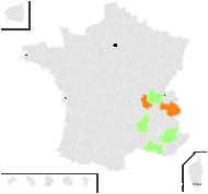 Rhamnus saxatilis proles villarsii (Jord.) Rouy - carte de répartition