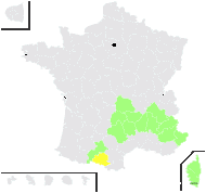 Alchemilla cantalica Gillot - carte de répartition