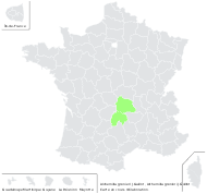 Alchemilla grenieri J.Guillot - carte de répartition