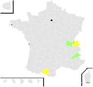 Alchemilla heteropoda Buser - carte de répartition