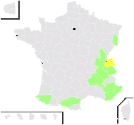 Alchemilla buseri Maill. - carte de répartition