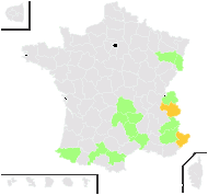 Alchemilla pallens Buser - carte de répartition