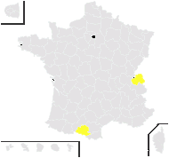 Alchemilla plicata Buser - carte de répartition