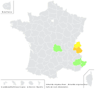 Alchemilla strigosula Buser - carte de répartition