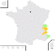 Alchemilla triformiloba Hudziok - carte de répartition