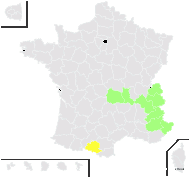 Alchemilla subsericea Reut. - carte de répartition